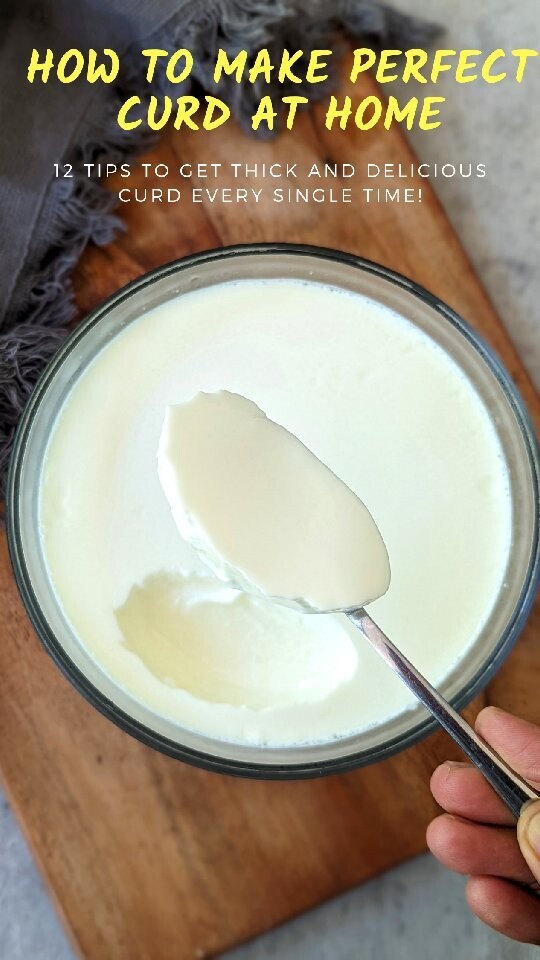 How to make perfect Curd/Yogurt/Dahi at home?Here are my 12 tips to get a perfect, thick curd every single time at home,

1. Use full cream or whole milk yields a thick curd.
2. Always boil the milk before making the curd. This ensures that the milk does not spoil during the fermentation process.
3. Further simmer the milk for 10 minutes to make sure that it is thick when set.
4. Do not use a sour curd starter or your curd will turn out sour.
5. Use a room temperature curd starter.
6. For a litre of milk, 1 tablespoon of curd starter works fine. Increase proportionally for larger quantities of milk.
7. Whisk the curd starter very well with a spoon or a whisker, so it dissolves uniformly in the milk.
8.The milk must be warm. Just dip your little finger in the milk and you should feel warm not hot.
If it's very hot milk, you might end up getting a grainy curd.
If it's a little hot then the curd does not become thick and is a bit runny with some whey in the curd.
If the milk is cold, then the curd won’t set at all.
9. After adding curd culture, make sure that it is mixed well with milk. Blend thoroughly with the spoon.
10. Set the curd in a warm place.You can also use the Instant pot yogurt function for making curd.
11. After you keep it away to make curd, don't touch and move it till the curd is set. 
12. Once the curd is set, refrigerate the curd until you serve it!

If you have never set curd before, try this method (maybe 2-3 times to get the hang of the exact process) and you will have delicious thick curd at home.

Follow blendofspicesbysara for more helpful tips and recipes!

homemadeyougurt curd dahi summerready alltimefav tipsoftheday everydaymeal homemadeisthebest recipeoftheday tipoftheday reelsitfeelsit indianbloggercommunity indianfoodbloggers mealprepideas mealpreptips mealpreps